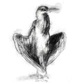 Heron standing