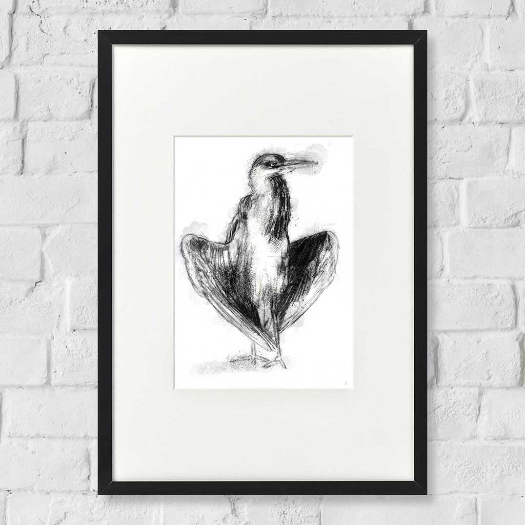 Heron standing
