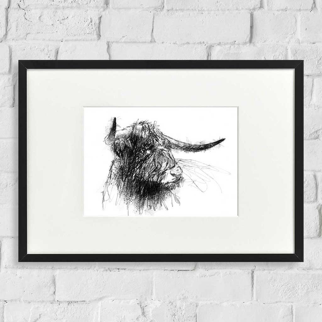 Highland cow