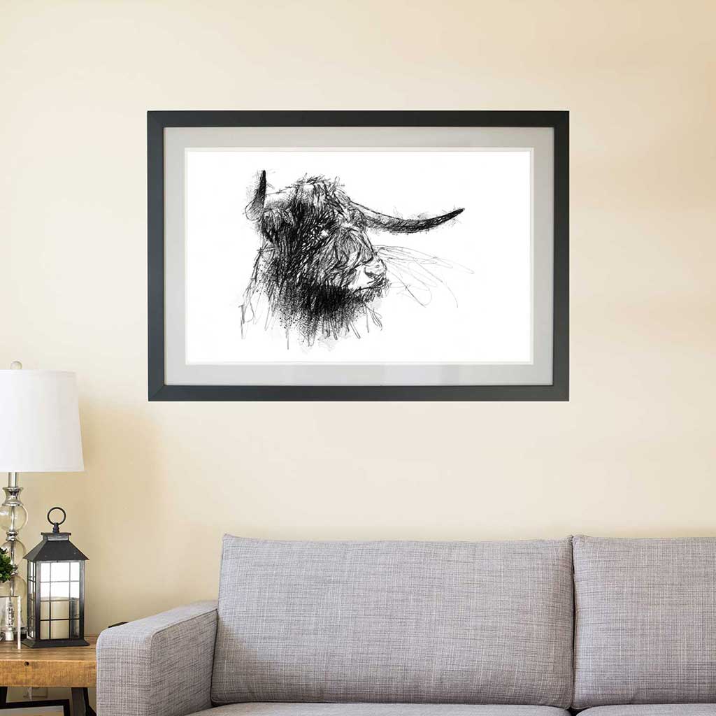 Highland cow