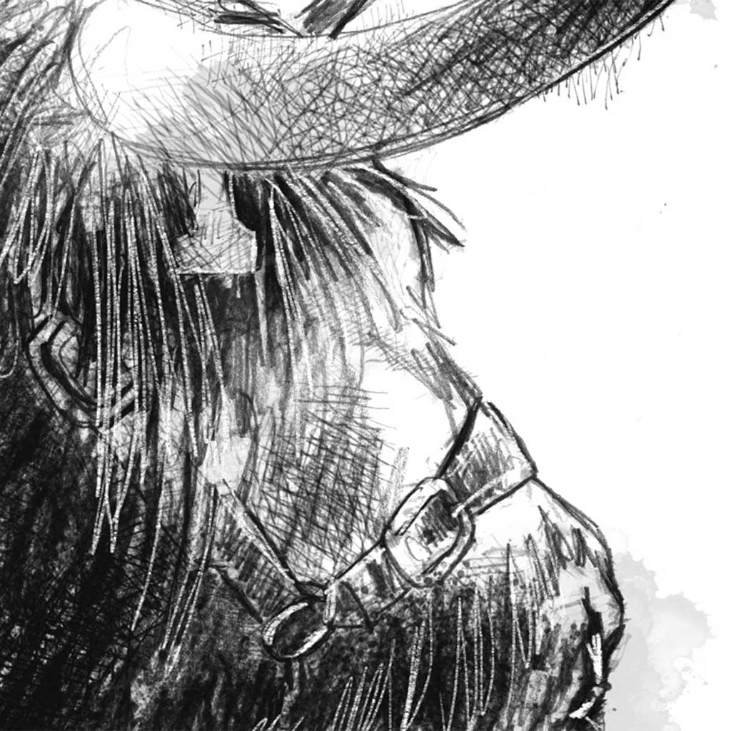 Highland bull show