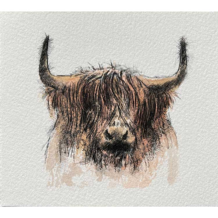 Highland cow mini sketch