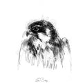 Hobby