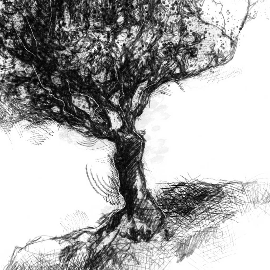 Holly tree