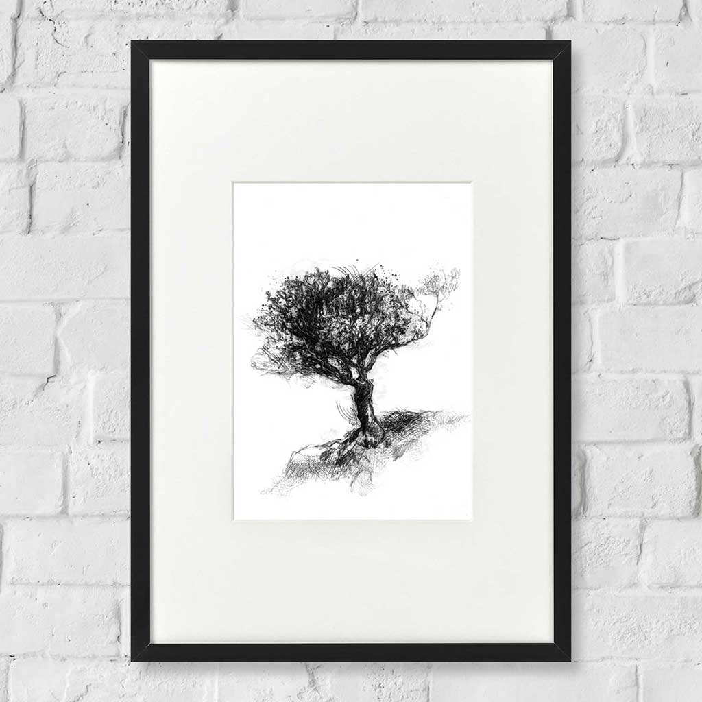 Holly tree