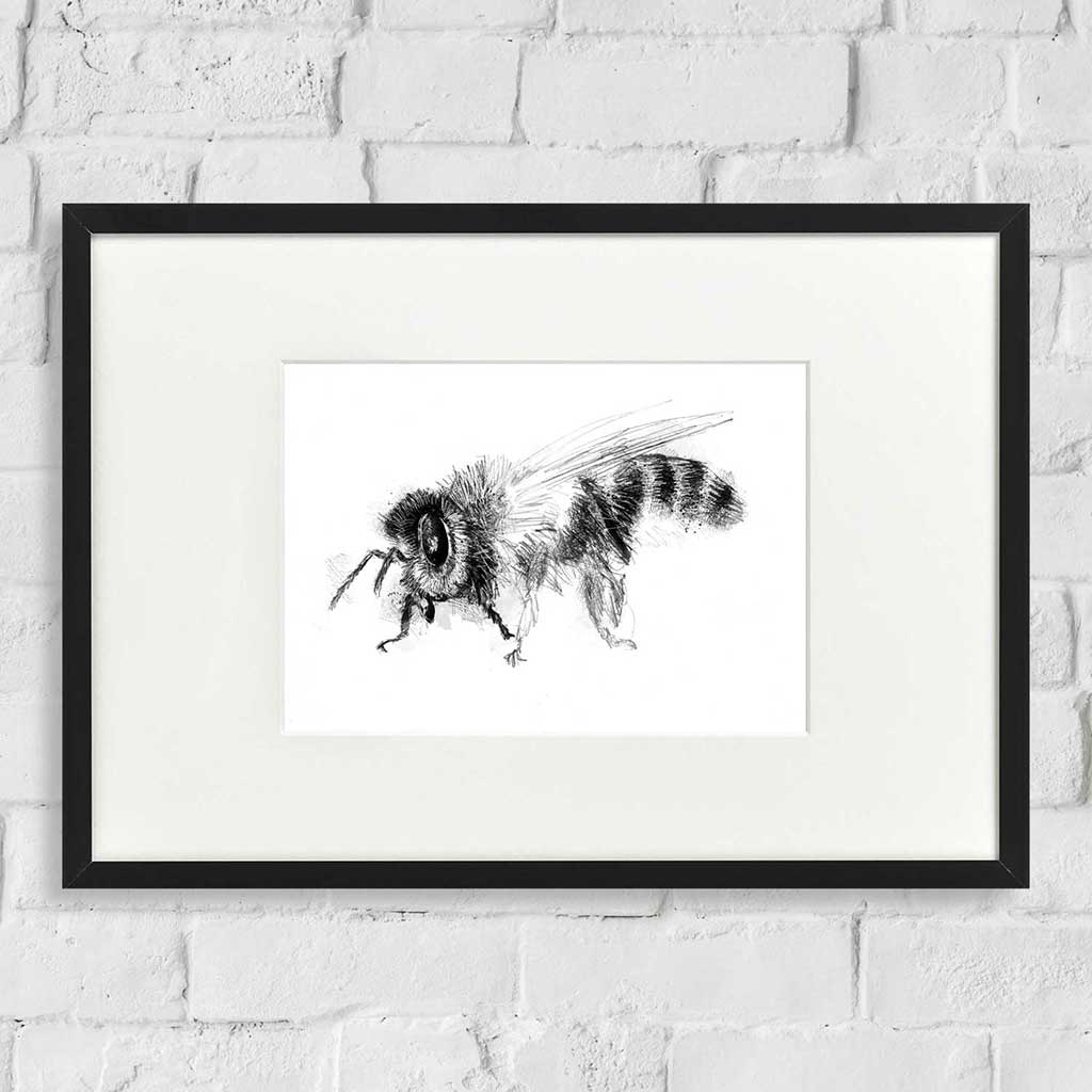Honey bee