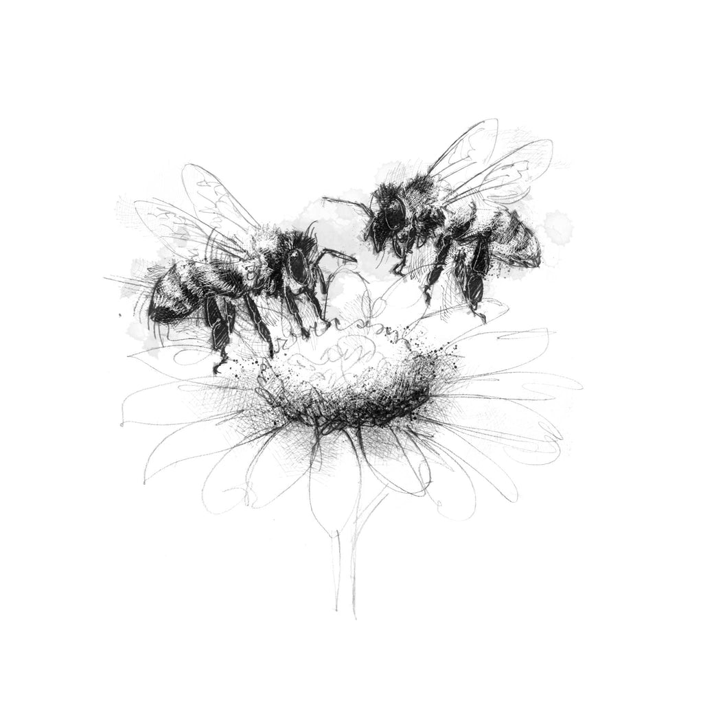 Honeybees - BW Sketch