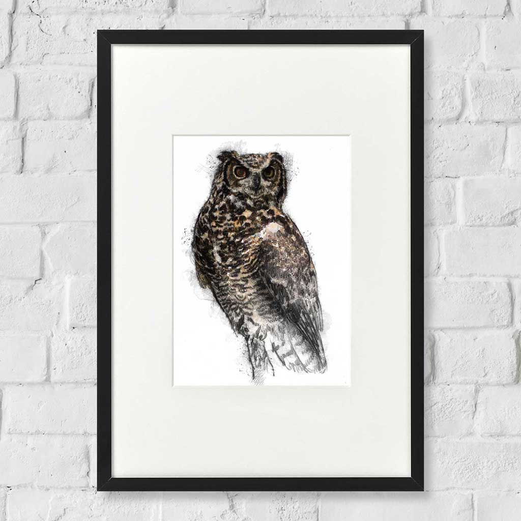 Horned owl