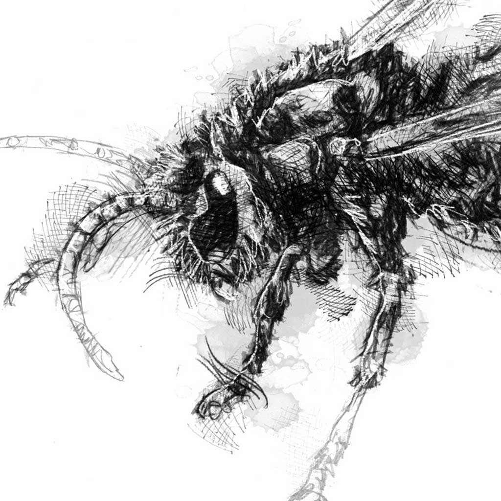 Hornet