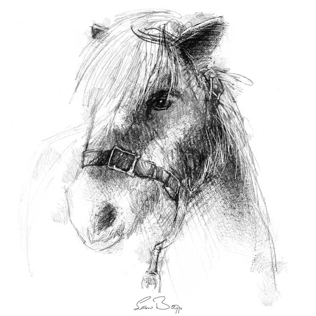 Rescue pony