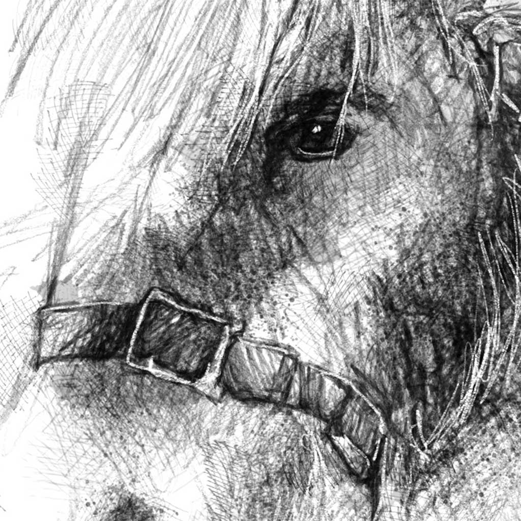 Rescue pony
