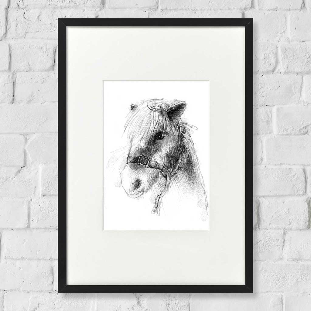 Rescue pony