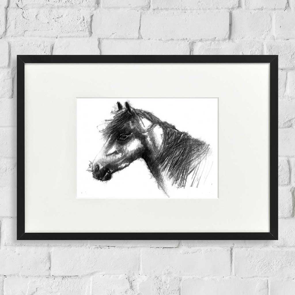Pony
