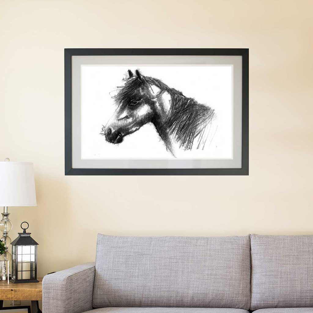 Pony