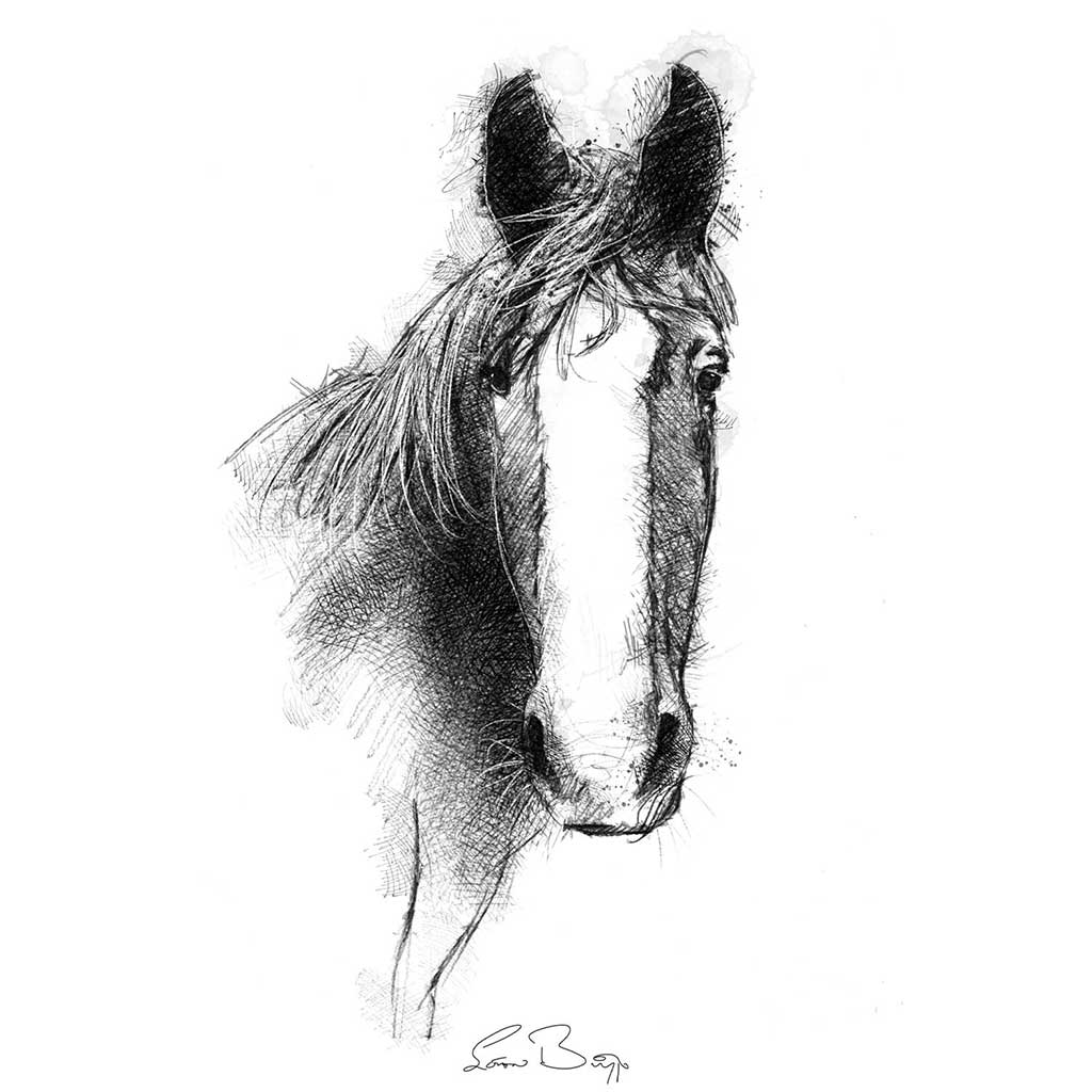 Horses trust Ruben
