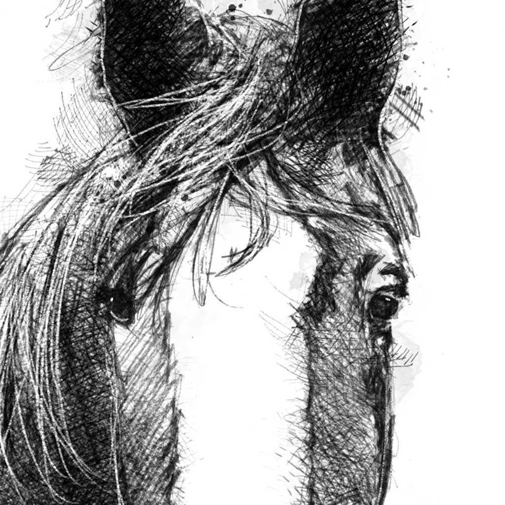 Horses trust Ruben