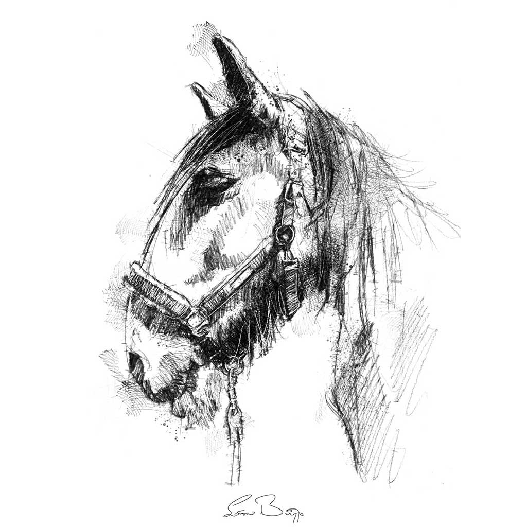 Horses trust Trojan