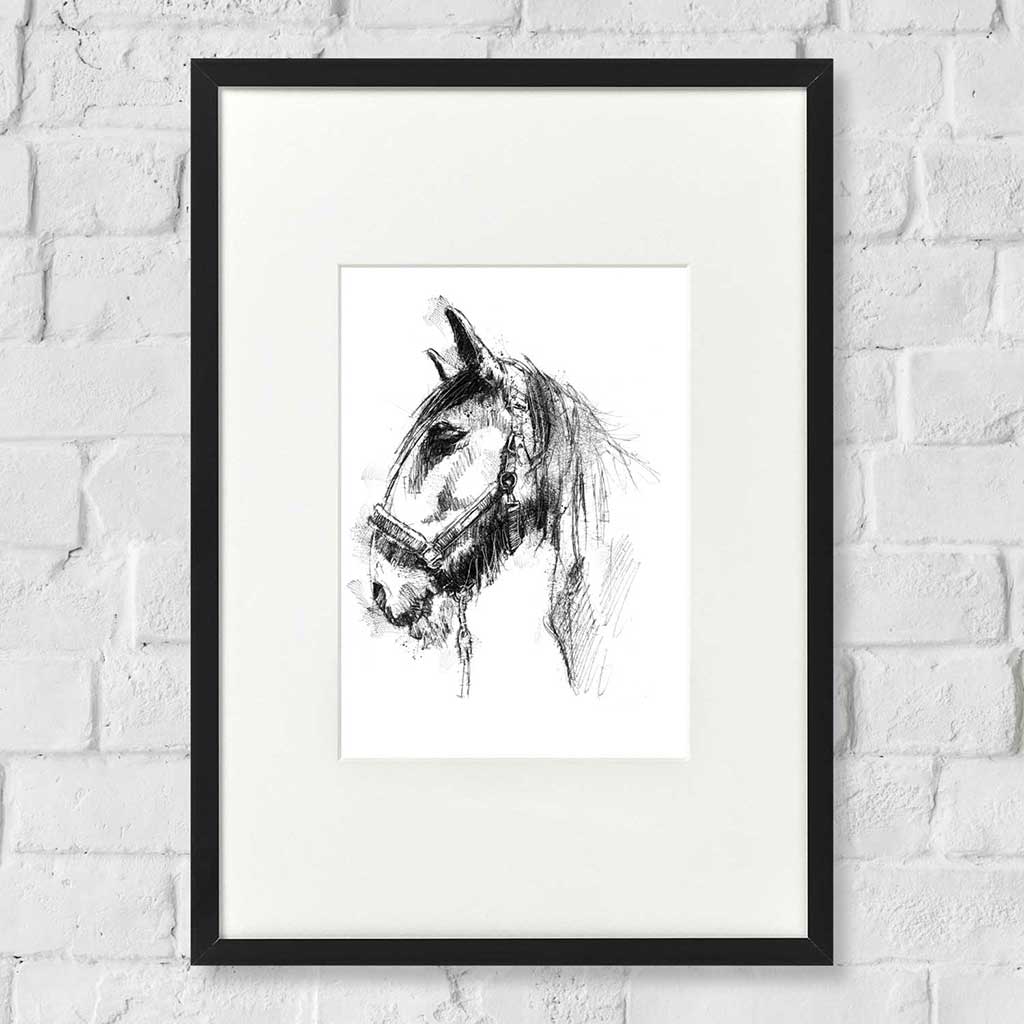 Horses trust Trojan