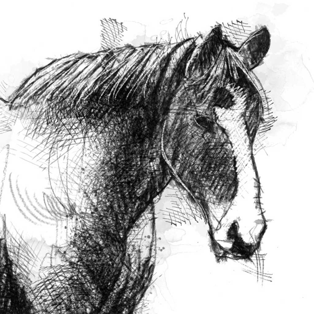 Horses trust Rivington
