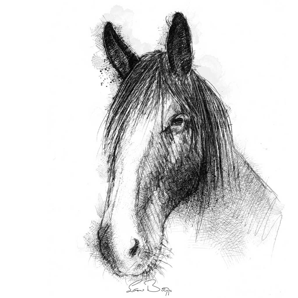 Horses trust Orla