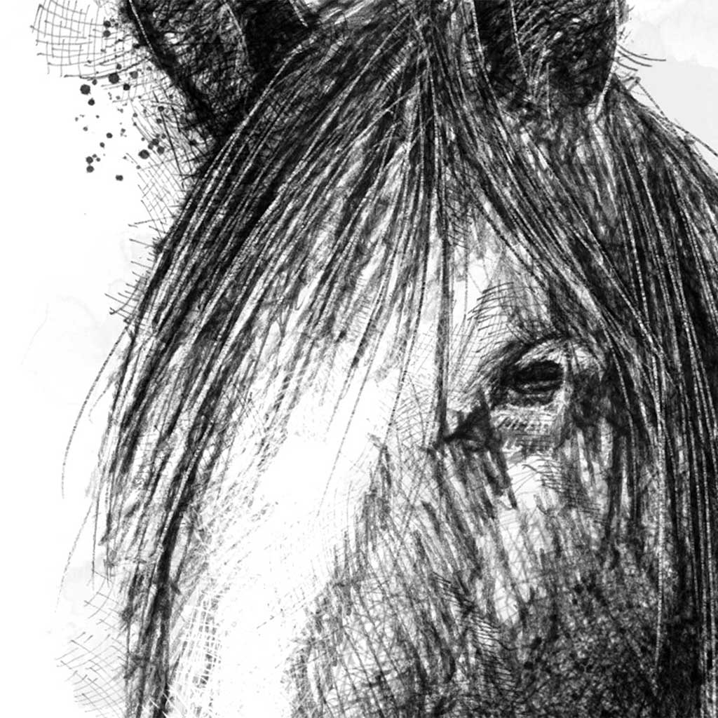 Horses trust Orla