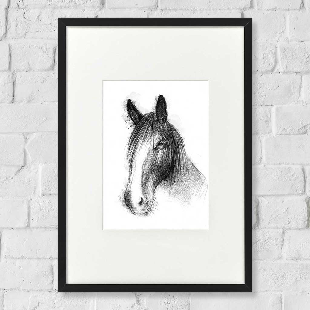 Horses trust Orla