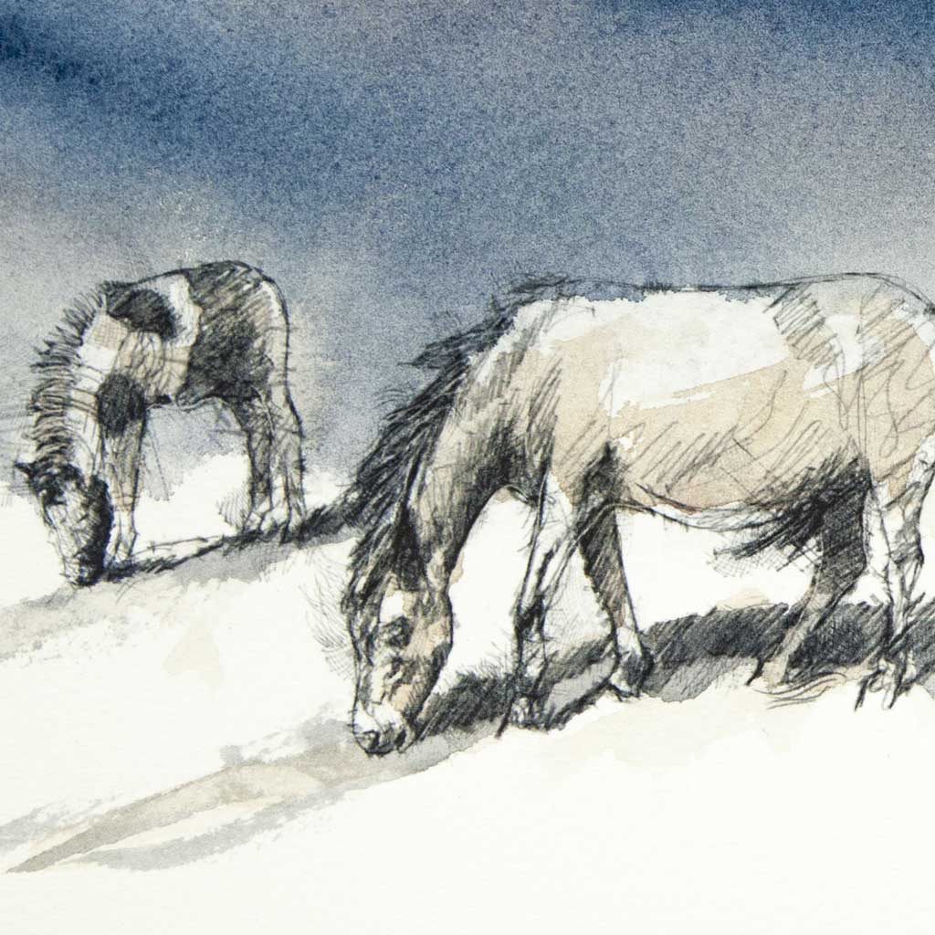 Dartmoor ponies - Colour Sketch | Original