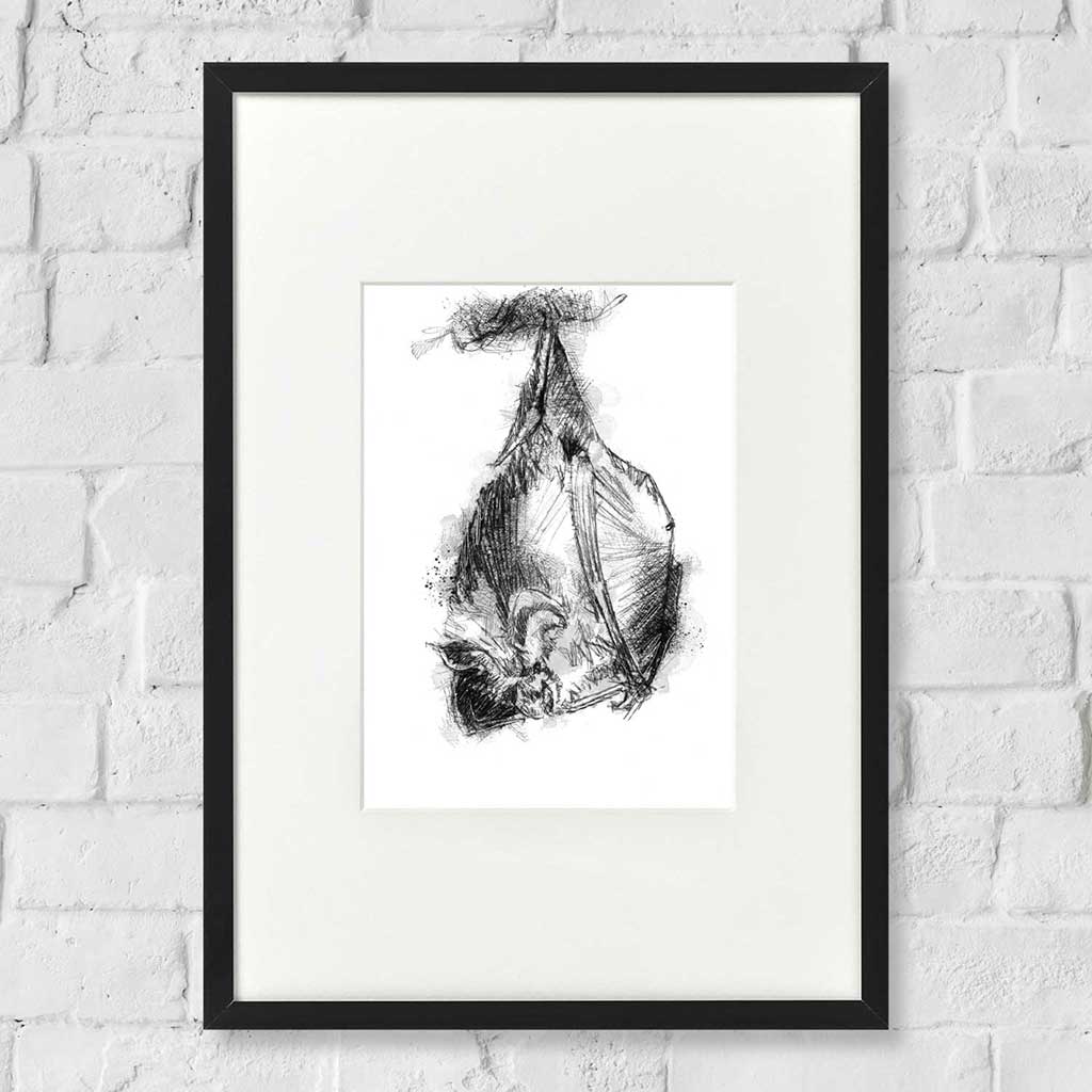 Horseshoe bat