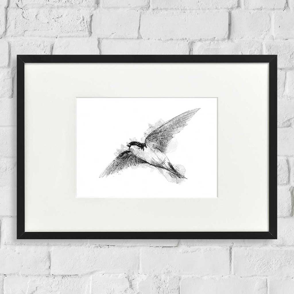 House martin