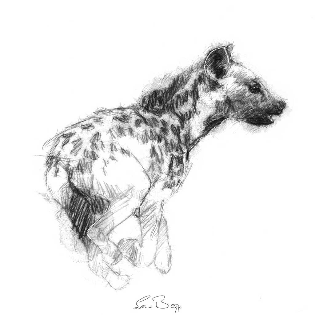 Hyena
