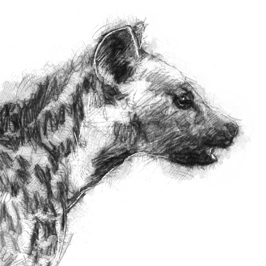 Hyena