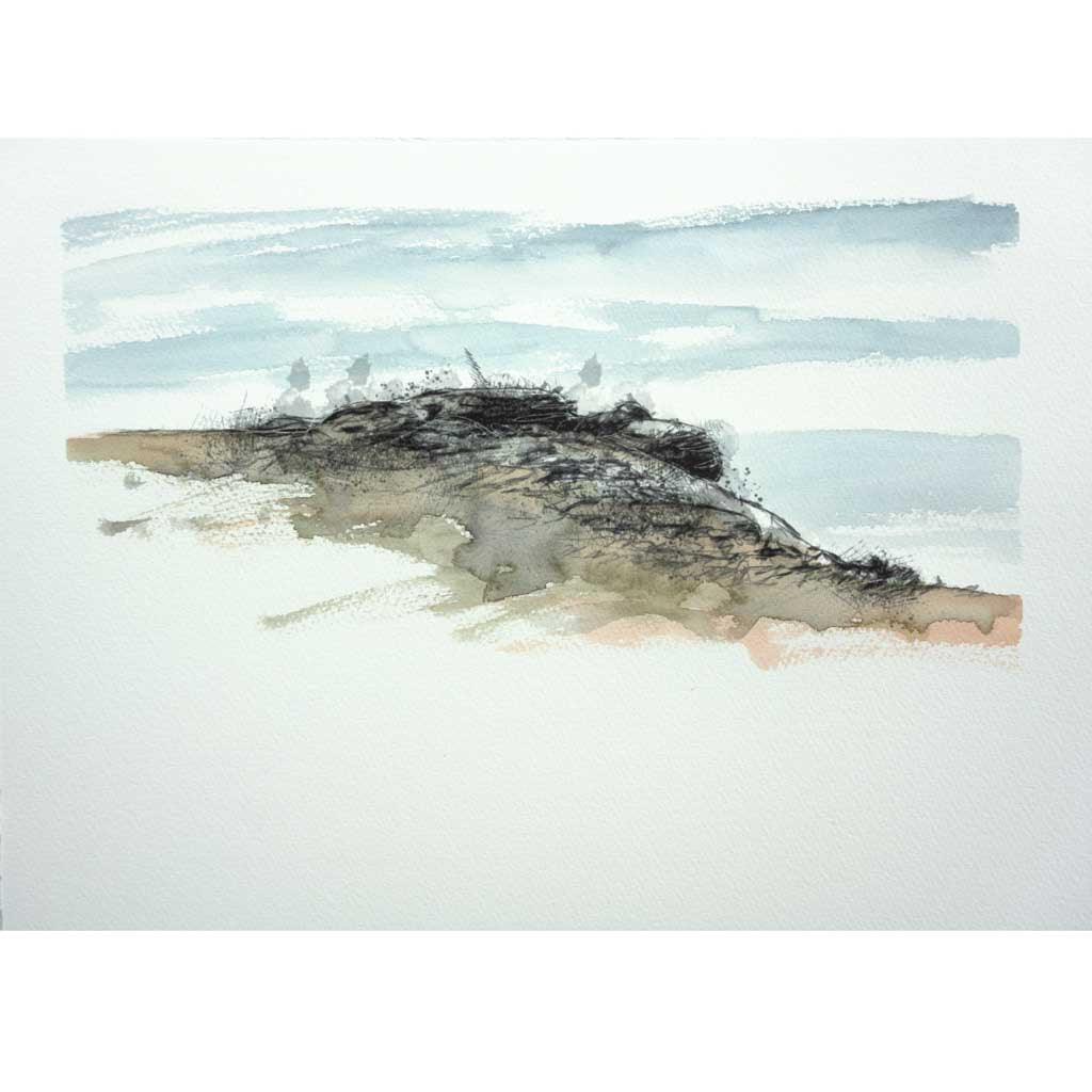 Dartmoor rocks