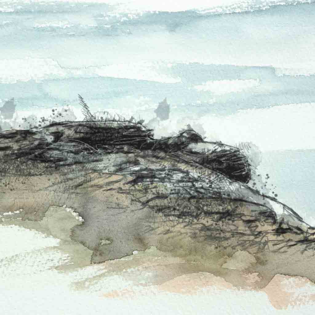 Dartmoor rocks