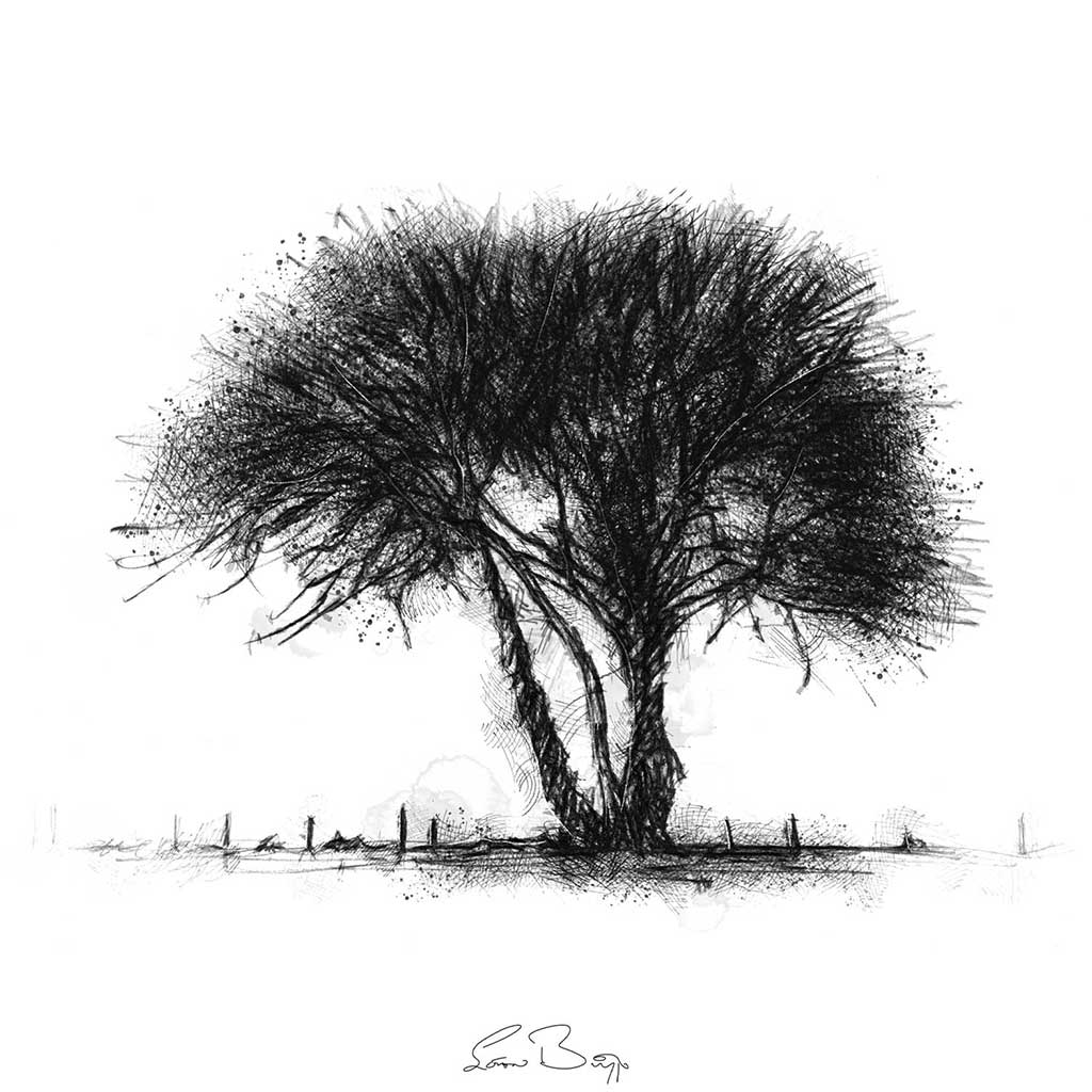 Solitary tree