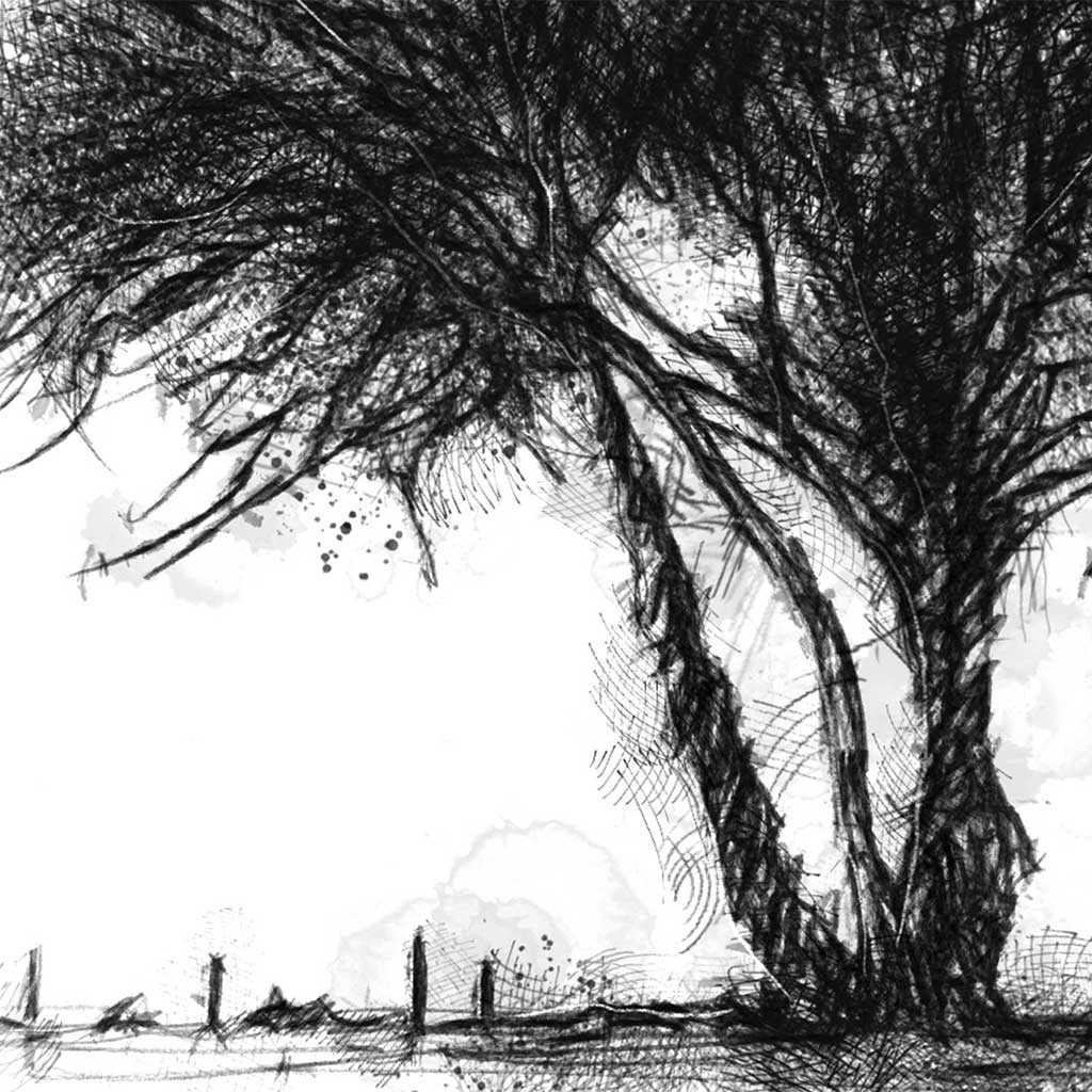 Solitary tree