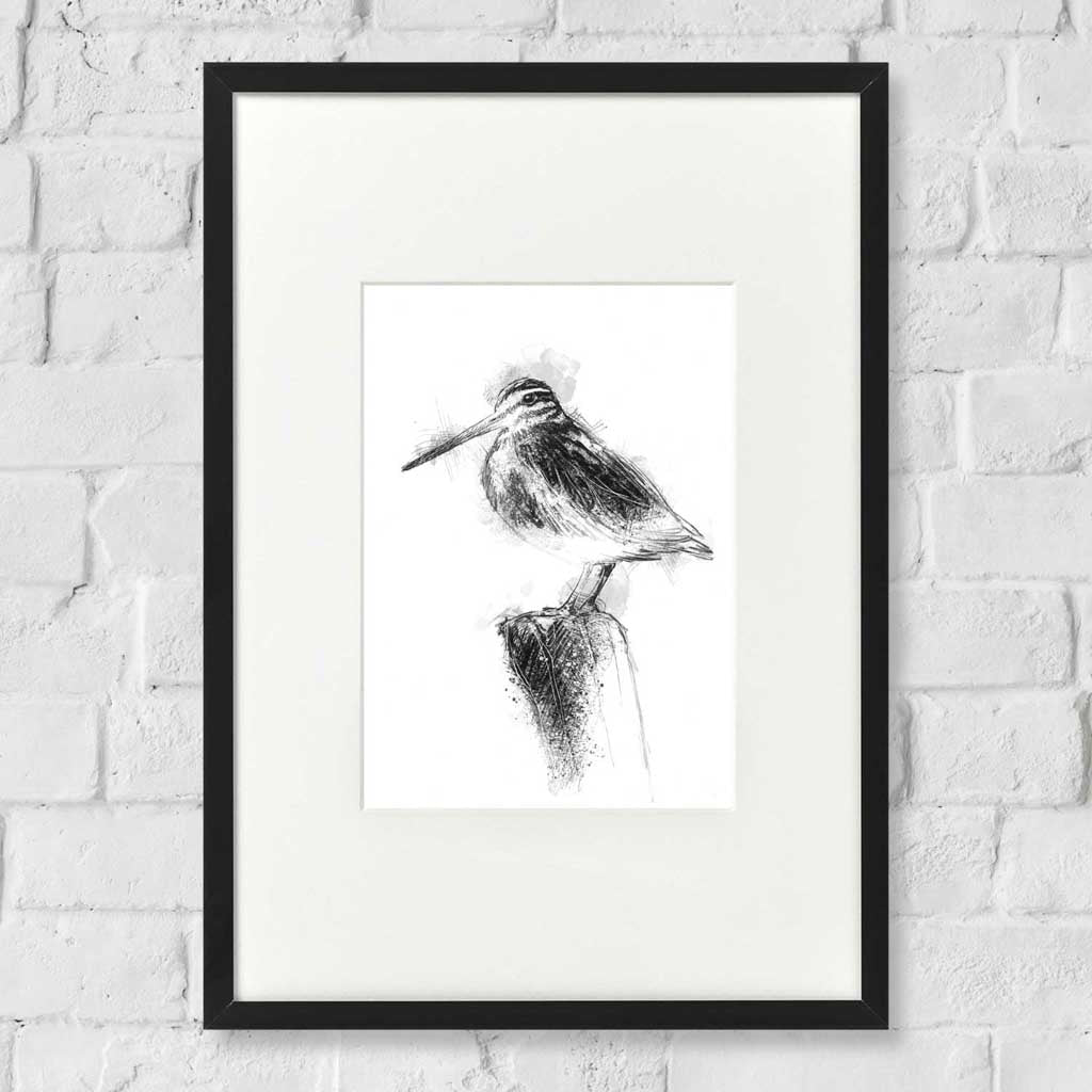 Jack snipe
