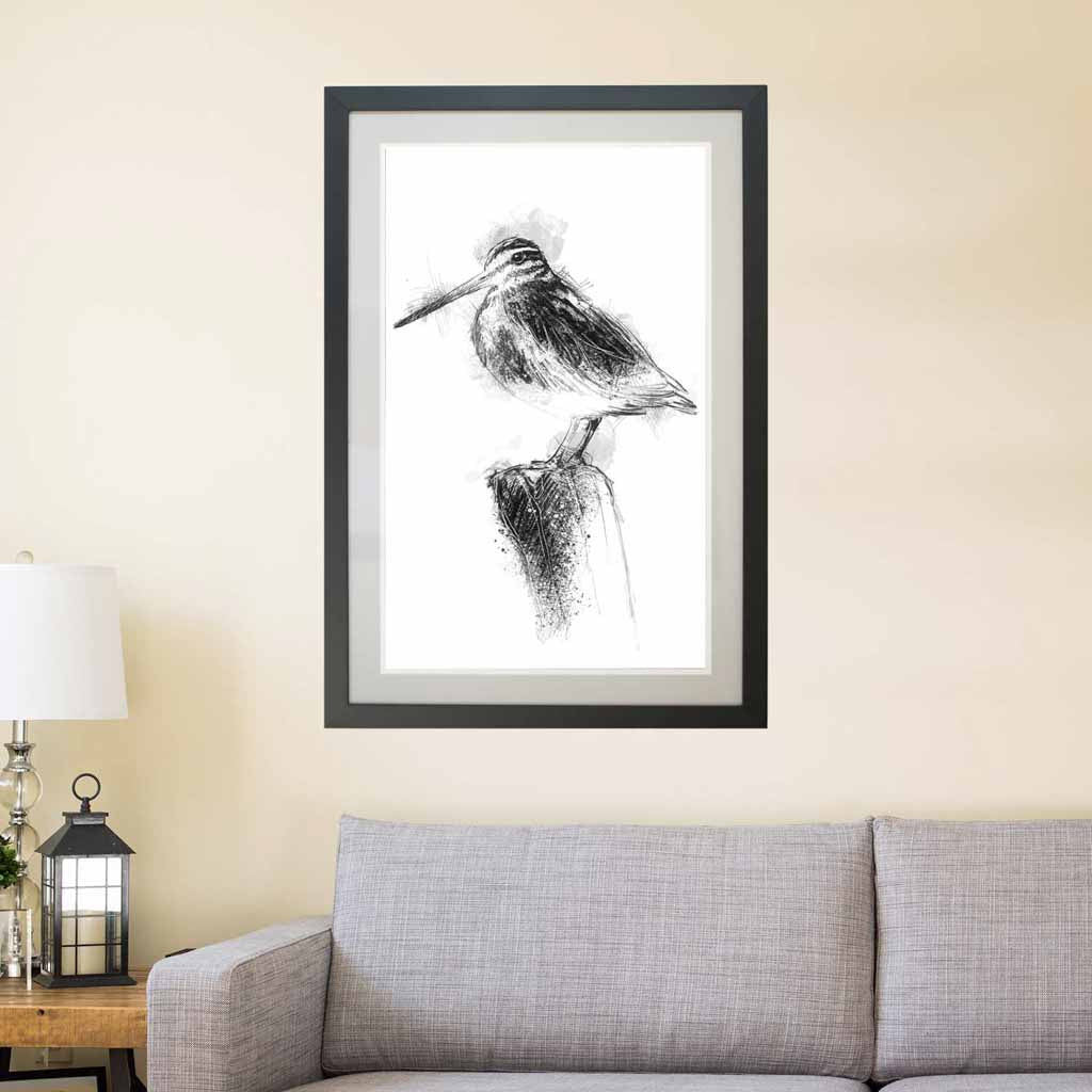 Jack snipe