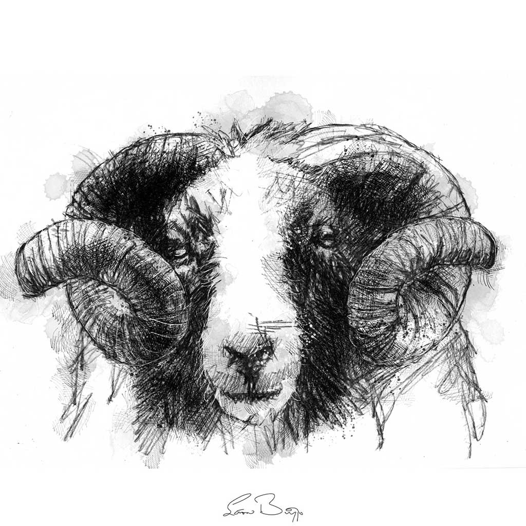 Jacob ram