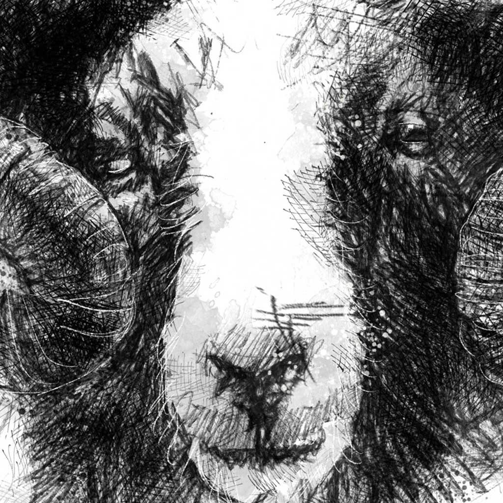 Jacob ram
