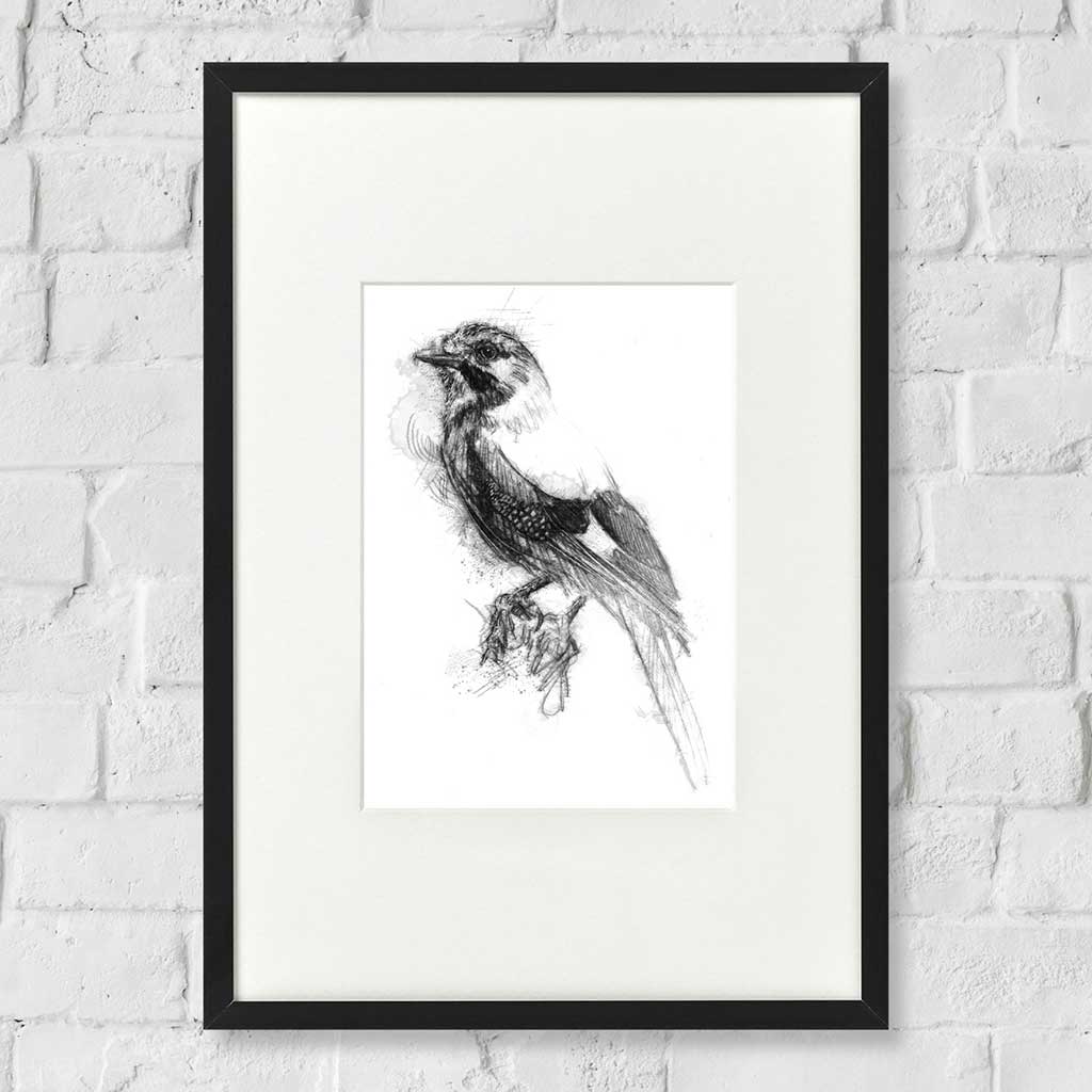 Jay crow