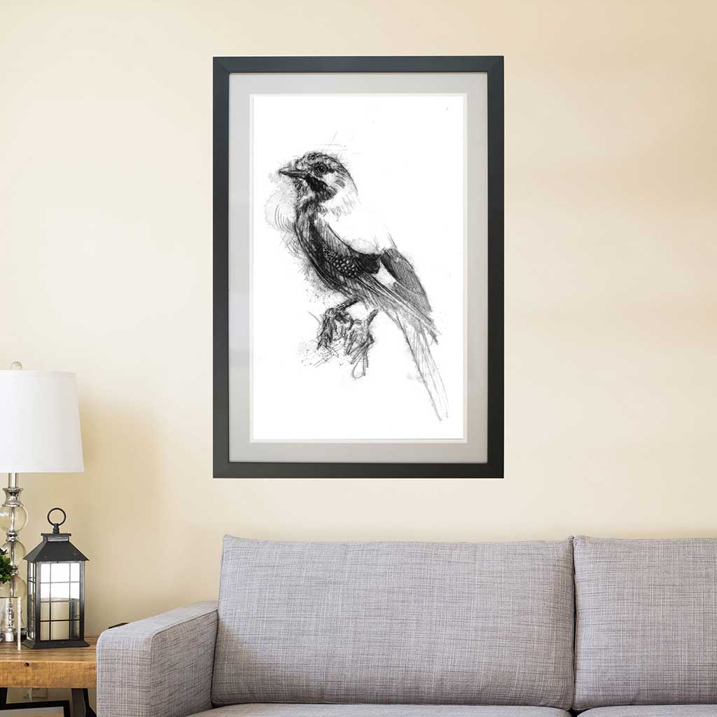 Jay crow