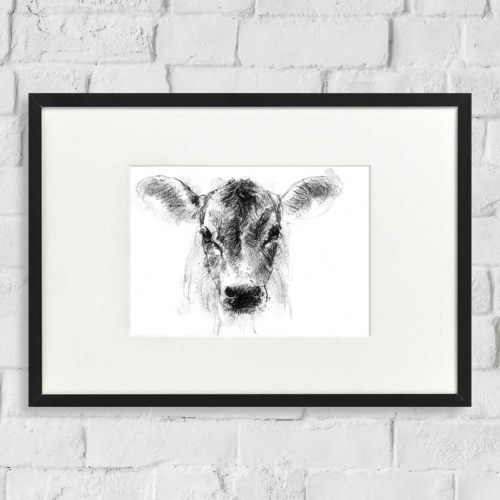 Jersey calf