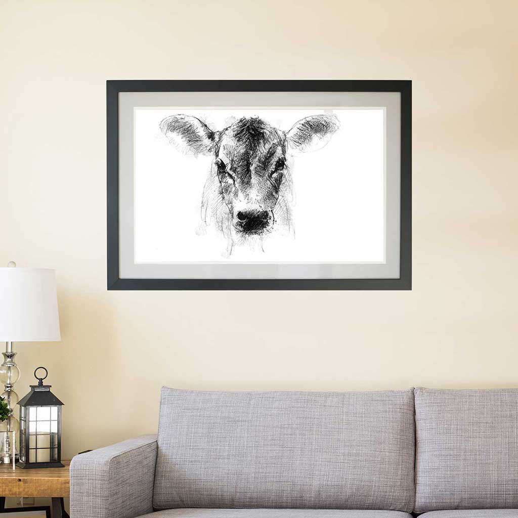 Jersey calf