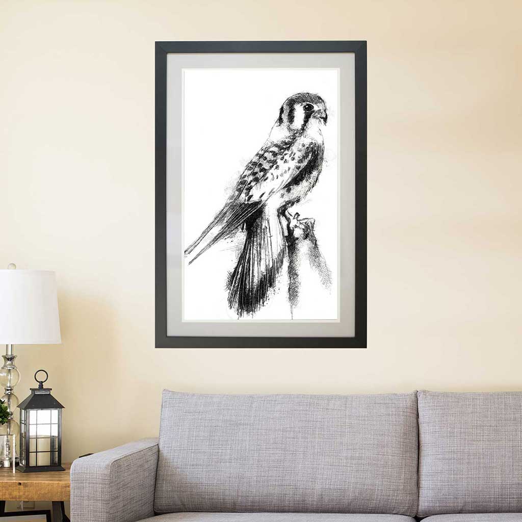 Kestrel