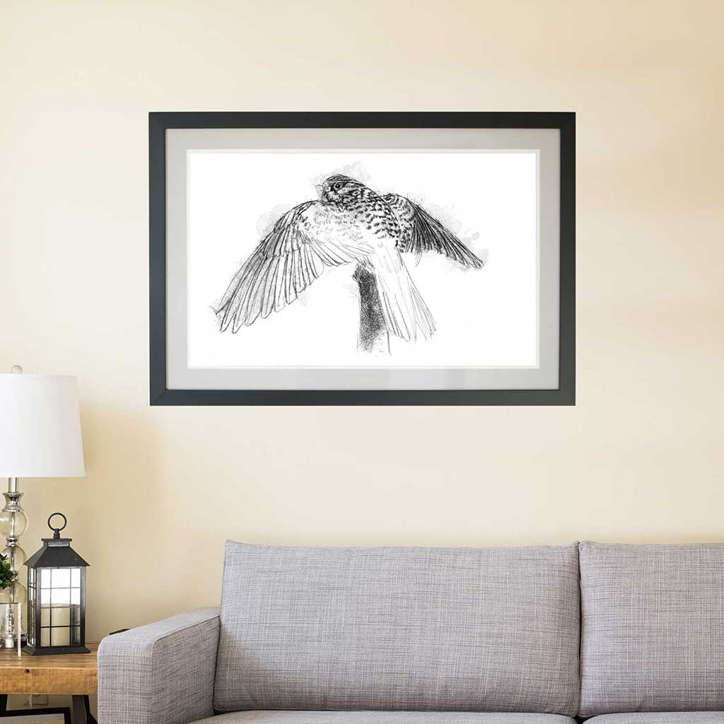 Kestrel