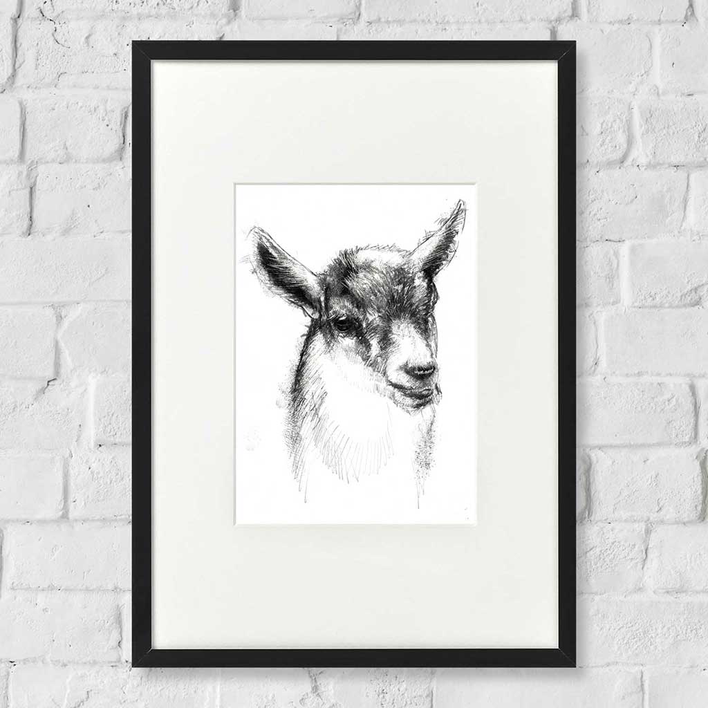 Goat kid