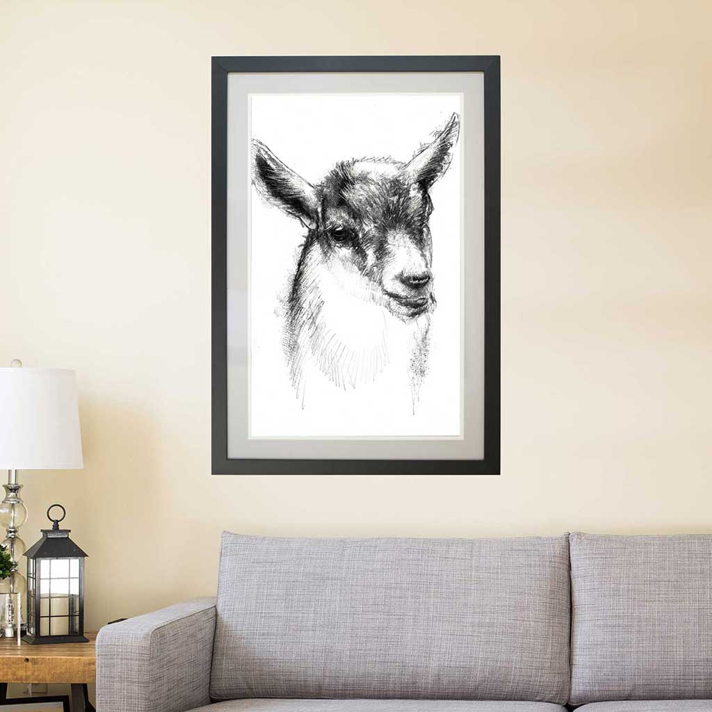 Goat kid