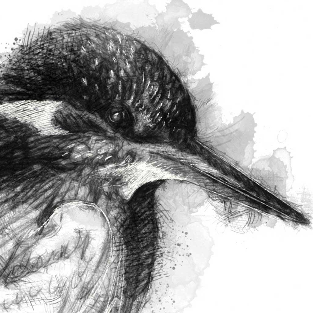 King fisher