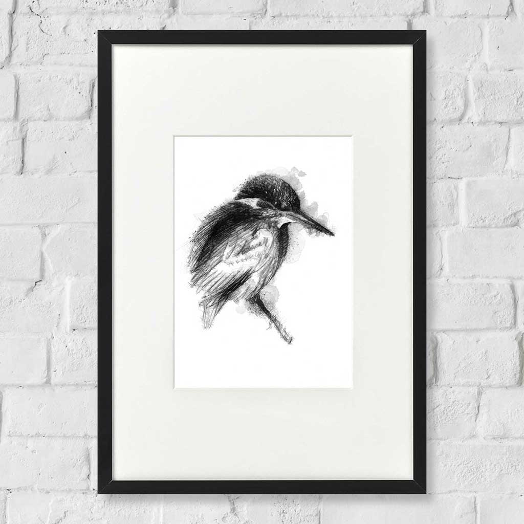 King fisher