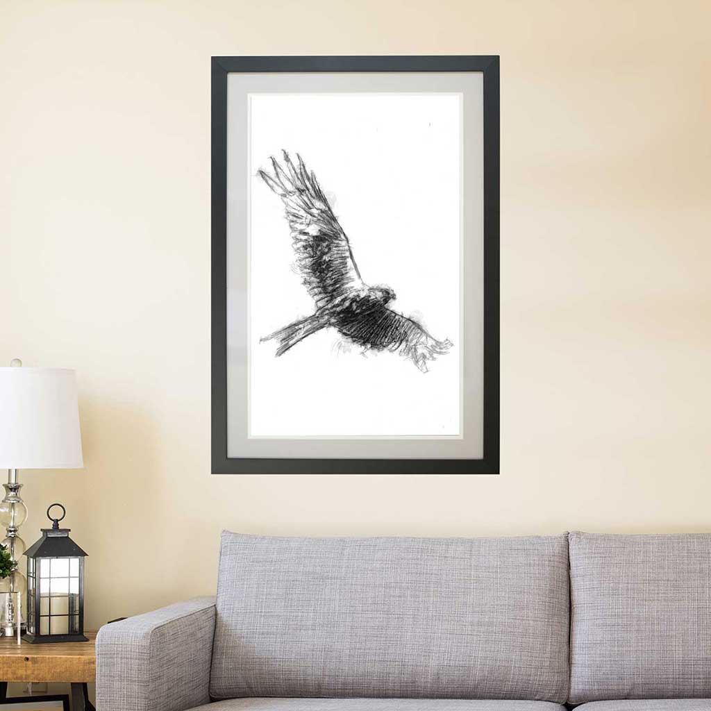 Red kite